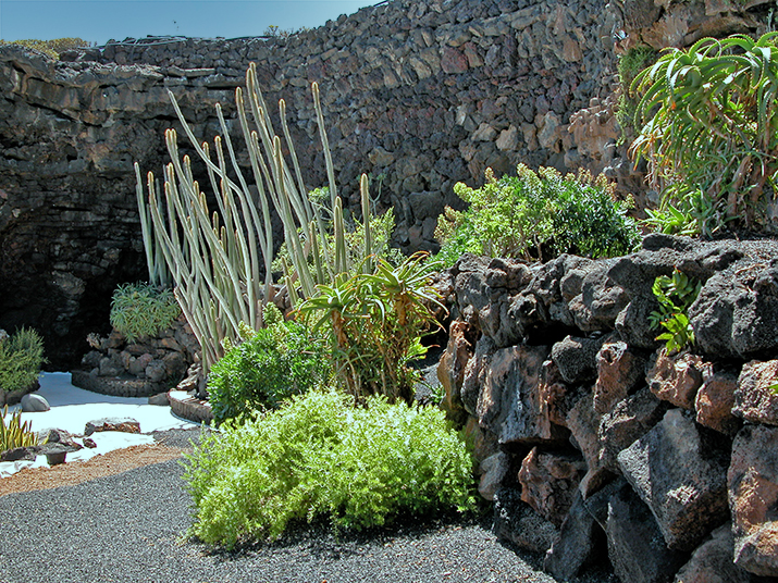 Jameos del Agua, Garten